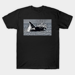 Killer Whale T-Shirt